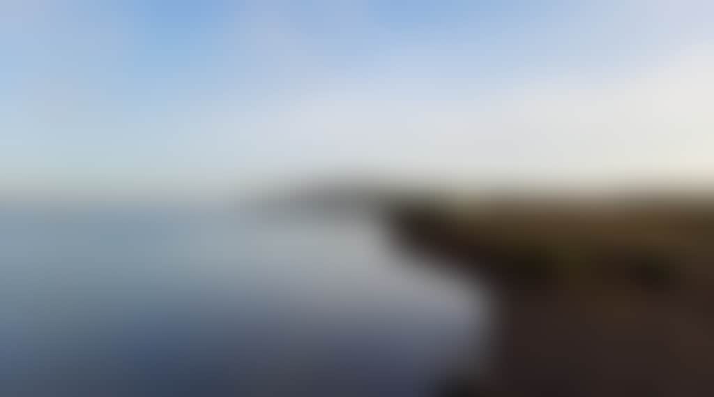 Churchill Island Walk 1