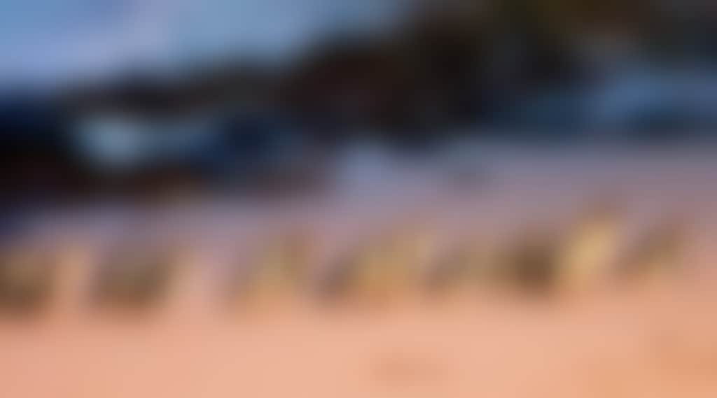 6953382Aef908917683Df2Fc69Ab9086