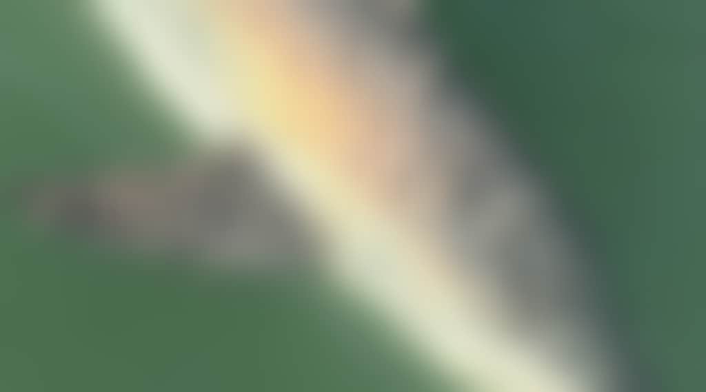 20230110 122810 002