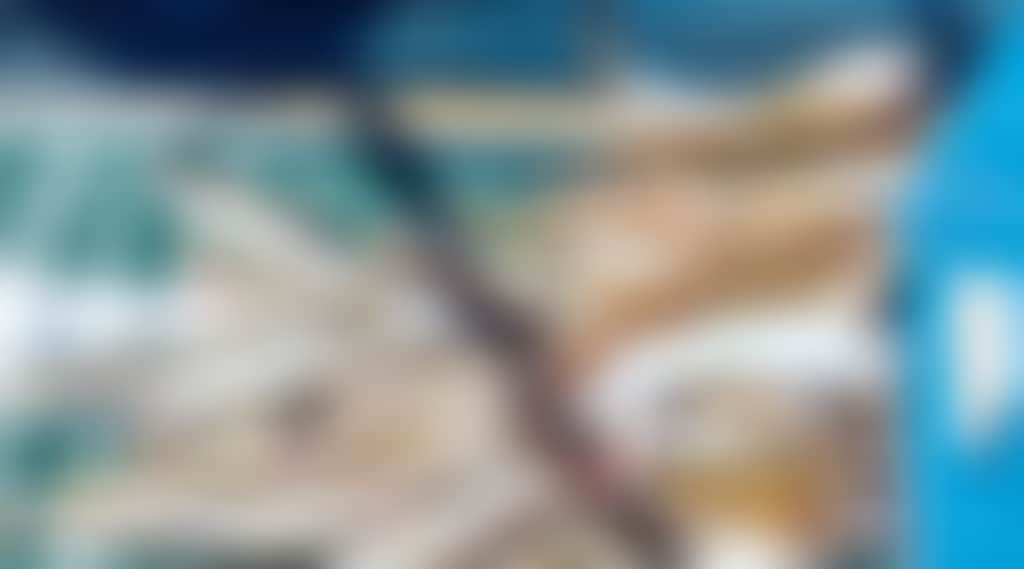 Screenshot 2024 11 08 10 36 02 40 99c04817c0de5652397fc8b56c3b3817