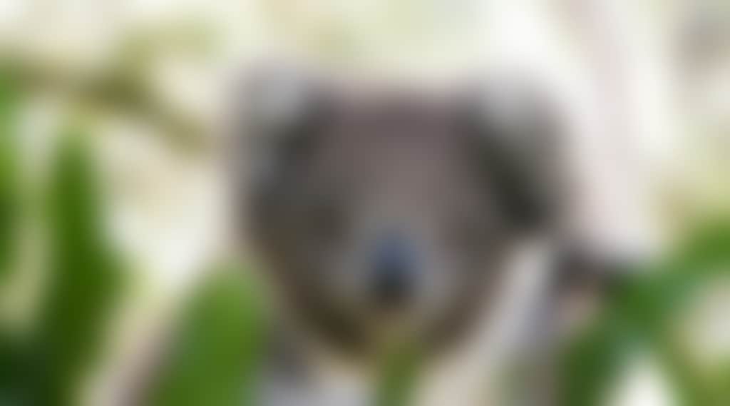 3626E117Cce1D0186E08B473A400Dbfb