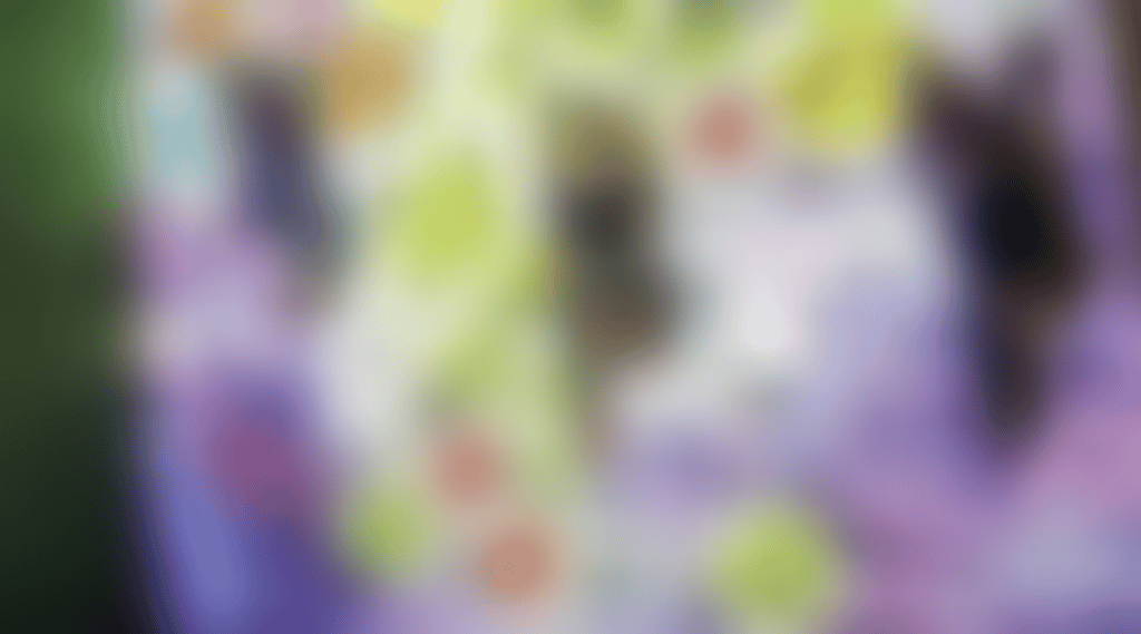 Aug wall