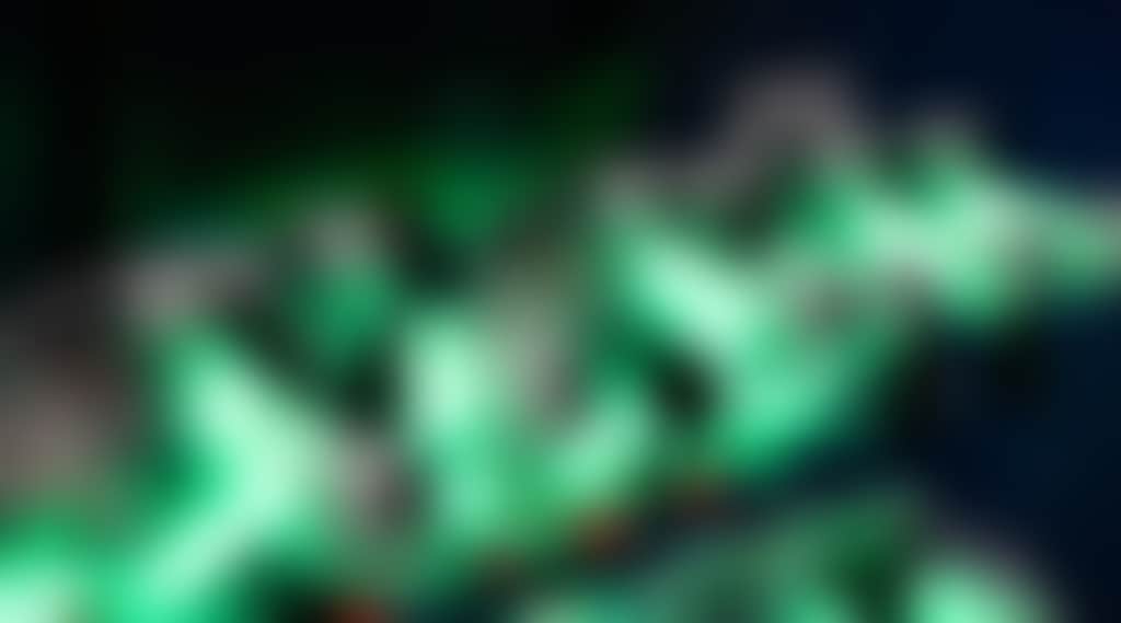 D4Cf2470830Fa1114765Bf9C2E2A3586