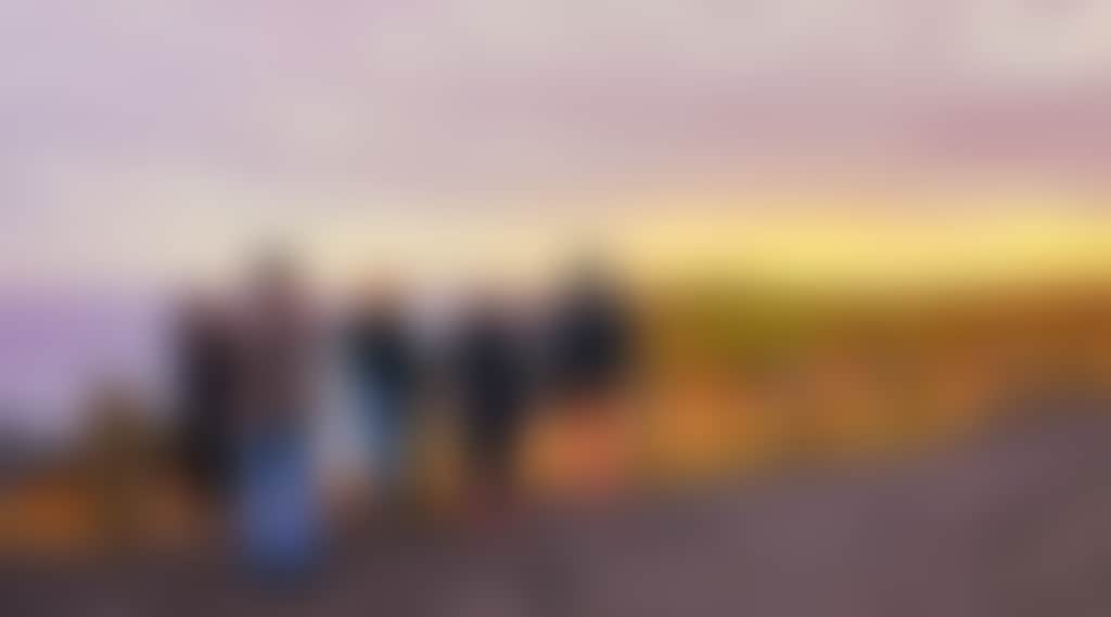 Group looking over back beach