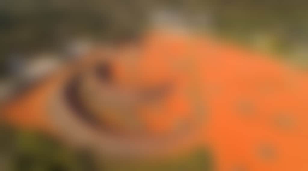 C391C6C044C31Aa40Efb8De55Bdf7166