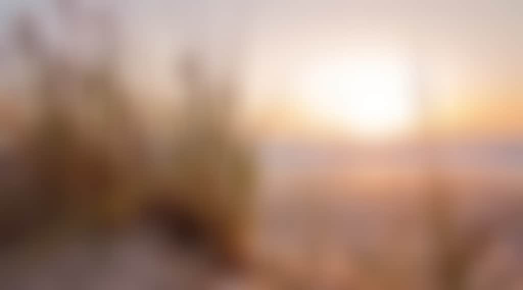 ID Pic Beach scene