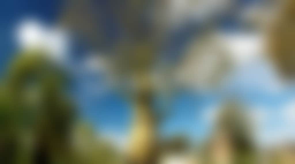 16E6998424607F9393Bf2Aa70372931C