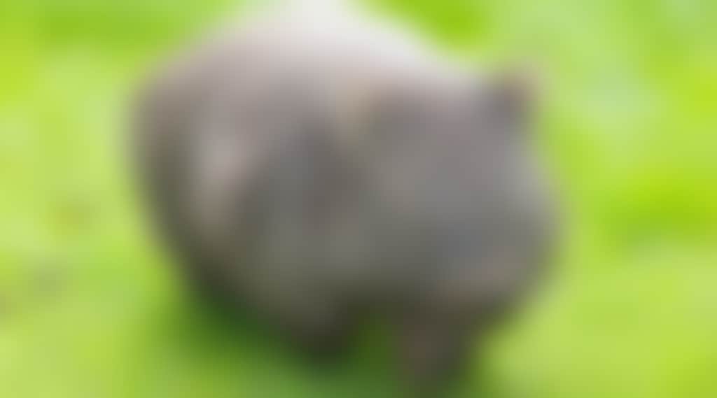 B23Cd2Bb9E7C30E7E6Aa191902Ac6118