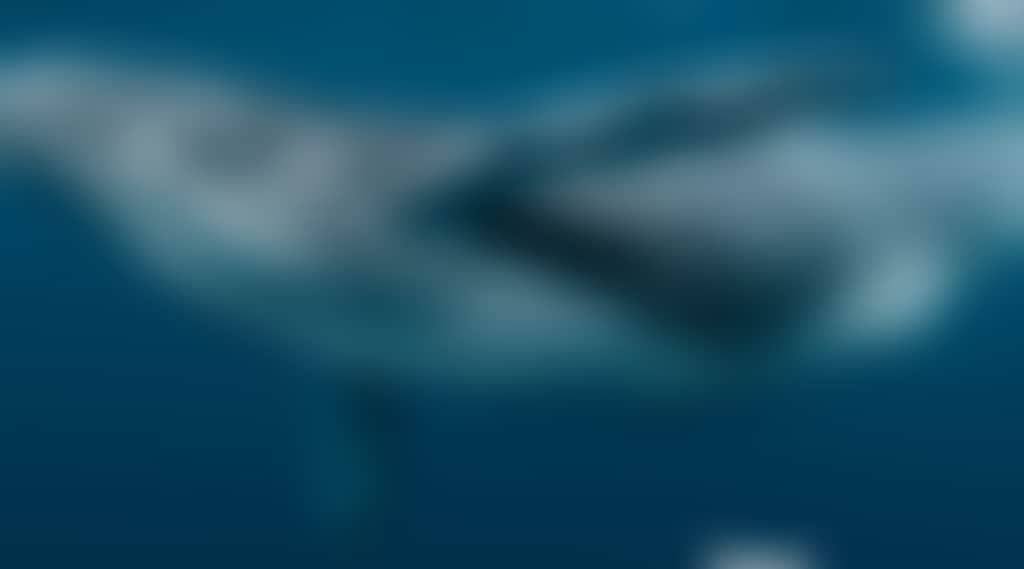 IWF 2026 Social tile 1