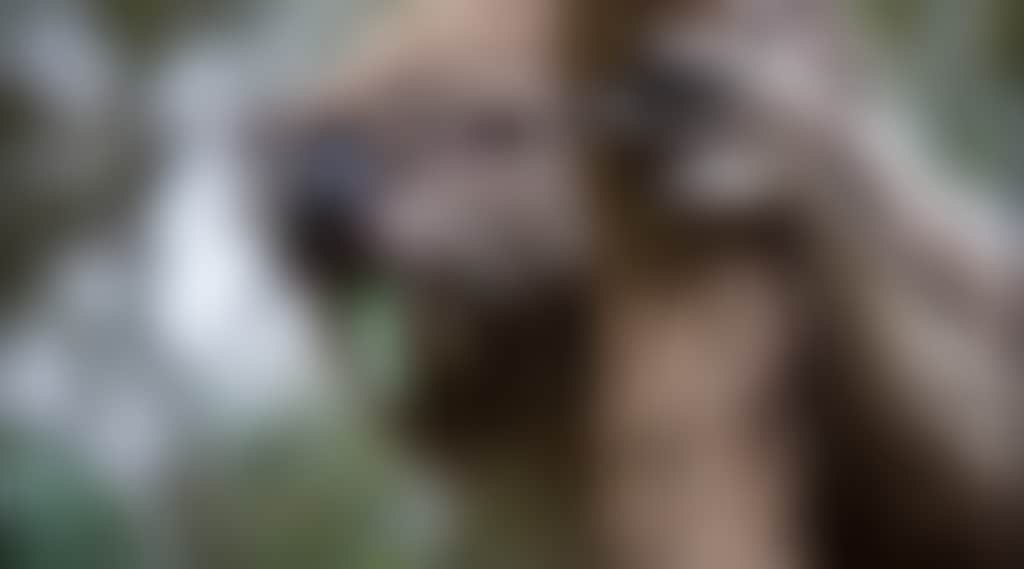 4D64A21Ec9A29Ab0F6D43Aee0Ac8C612