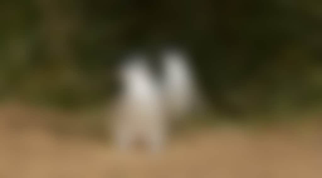 E4Cc3F27834Ce4910E3Bc98643Bc32B9