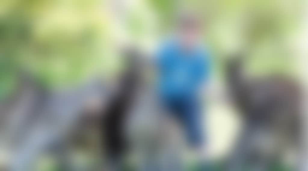 0F580Dbcbfbd1Ac2E78B01Ed0Dfce96B